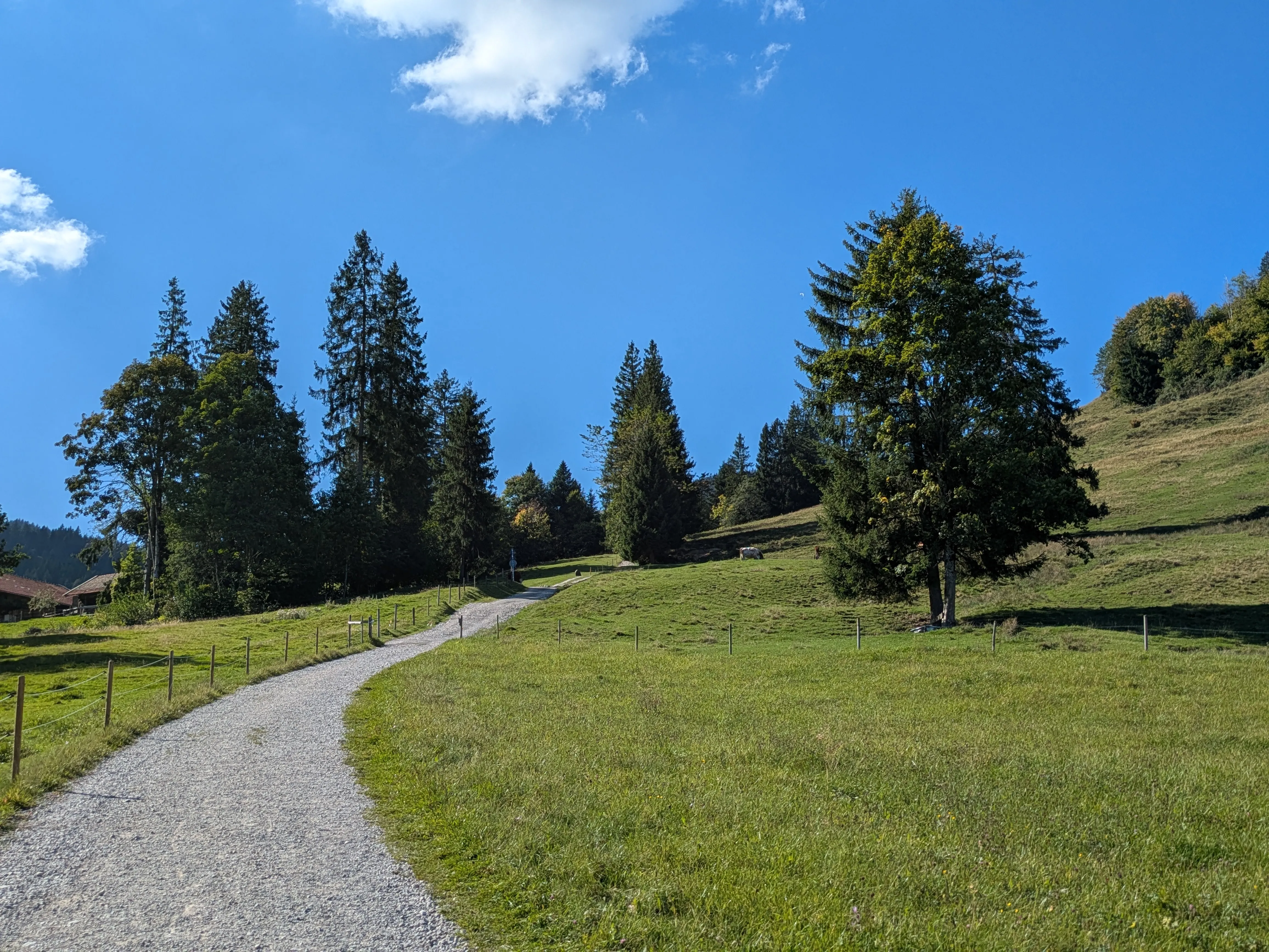 Gipfelblick über den Isarwinkel