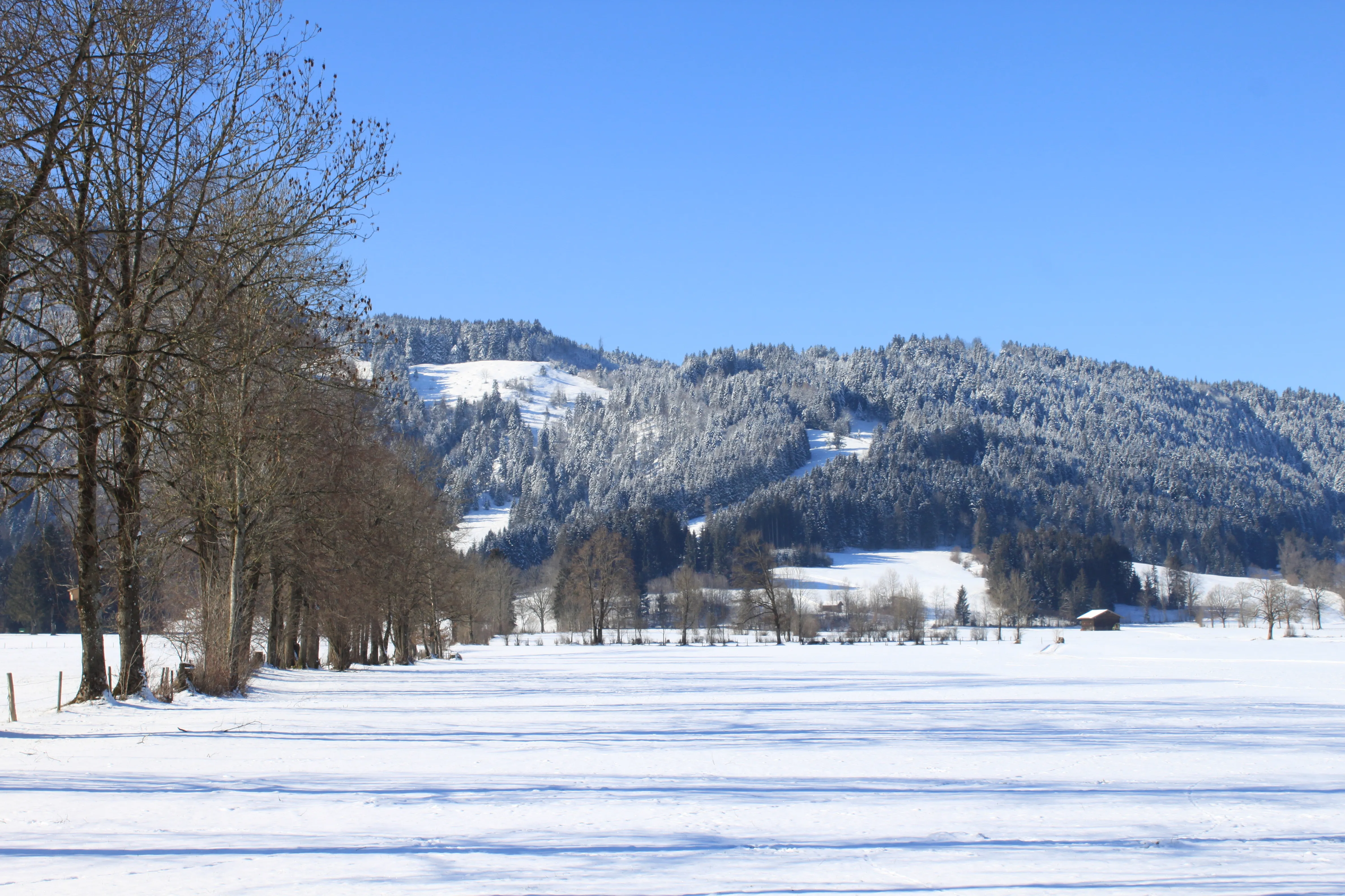 Blick von der Ferienwohnung MonSevi